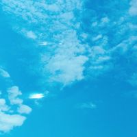 大台中羽球揪打團