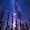 Galaxy Nexus NEO