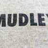 CS แนวทาง Mudley
