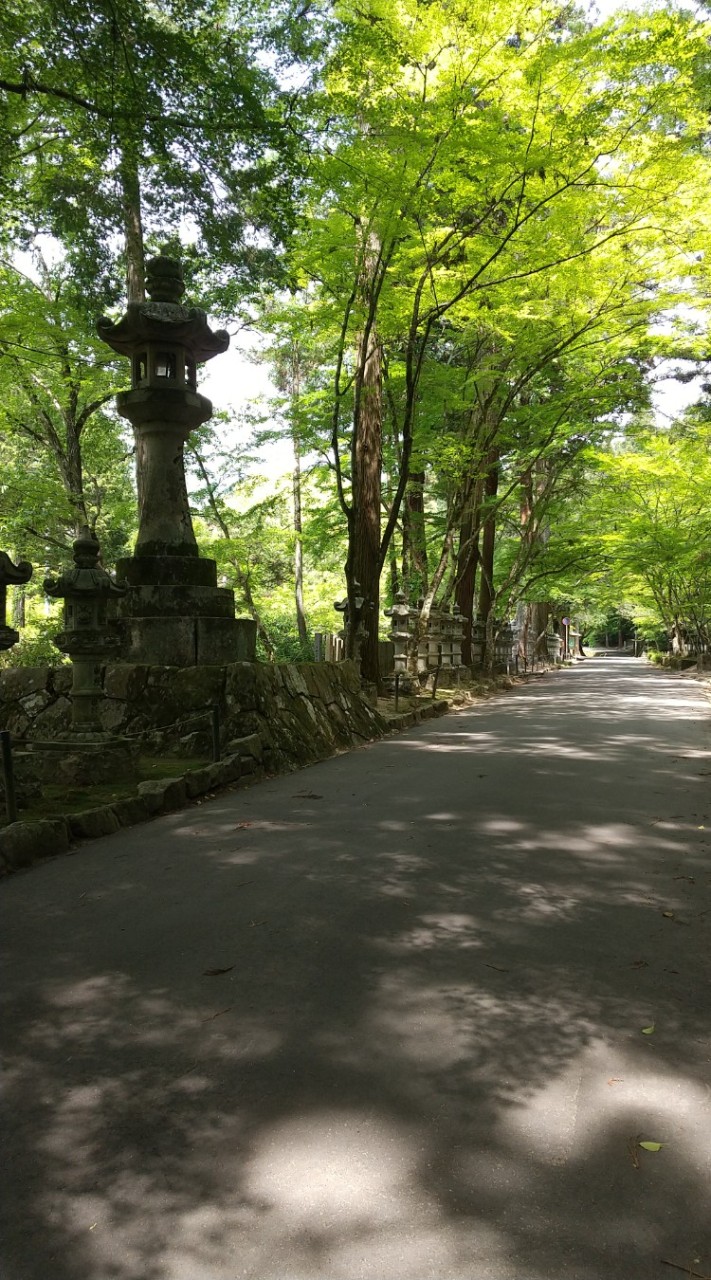 広島 出雲 山口 岡山 鳥取 愛媛 スピリチュアル 神社仏閣