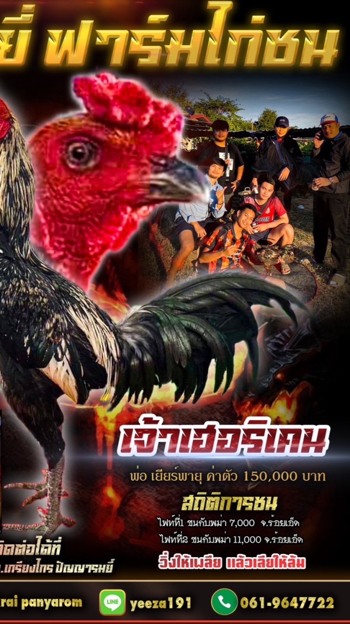 อั้งยี่ ฟาร์มไก่ชน168🐓