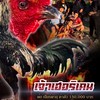 อั้งยี่ ฟาร์มไก่ชน168🐓