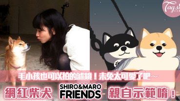 韓國最紅柴犬 SHIRO&MARO 超級萌～～推出毛小孩專屬濾鏡！讓每個人都可以跟柴柴互動，拍出各種網美、毛網紅的奇蹟美照吧❤