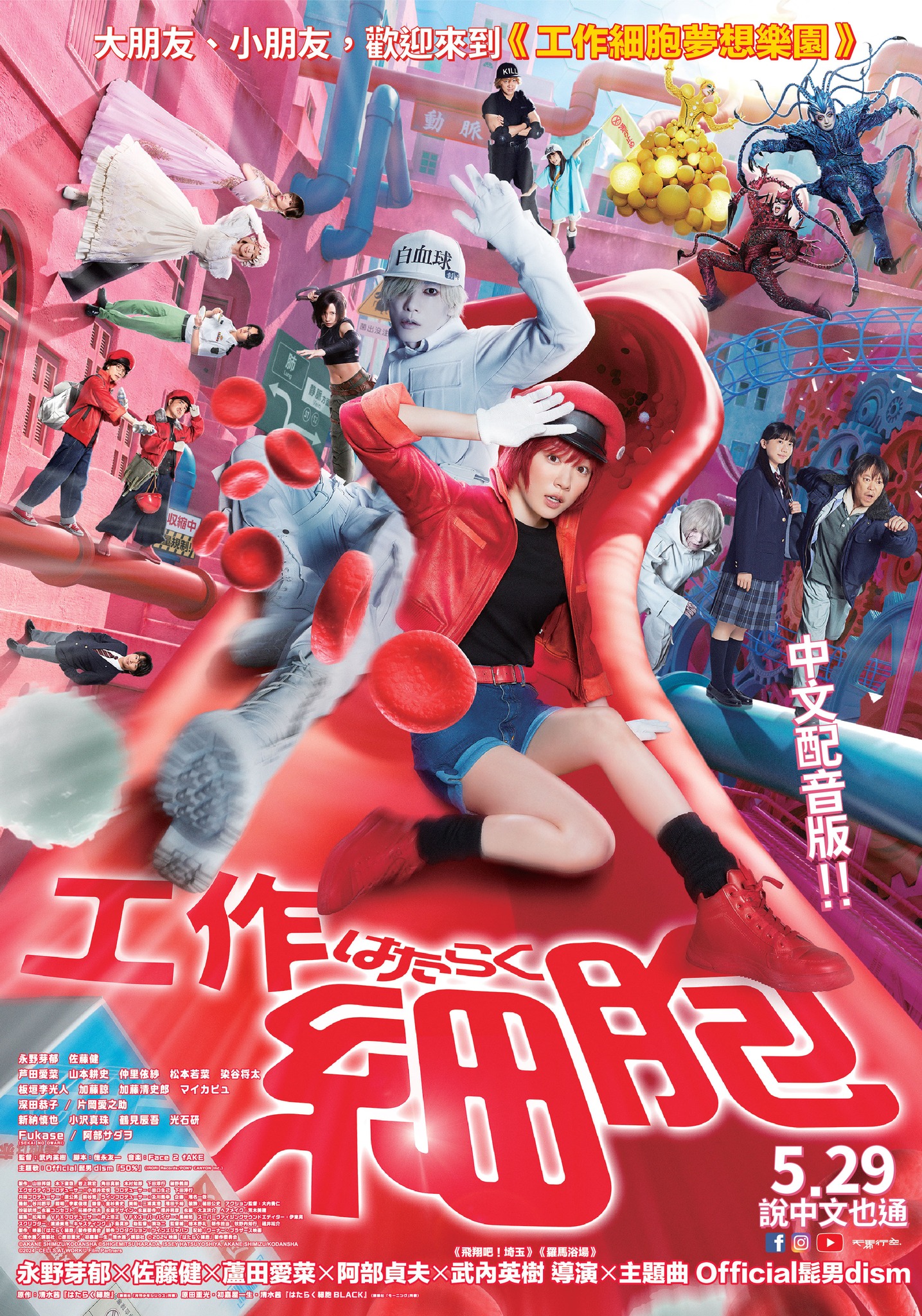 工作細胞 Cells at Work!