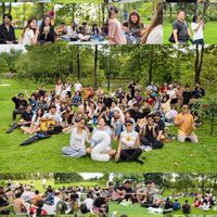 The Harmony Garden 🎼⛅️🍃