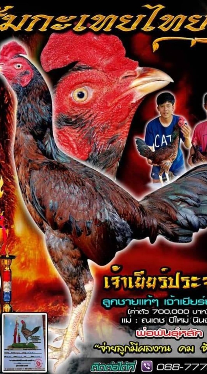 ซุ้มกะเทยไทยพม่าสายเยียร์