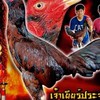 ซุ้มกะเทยไทยพม่าสายเยียร์