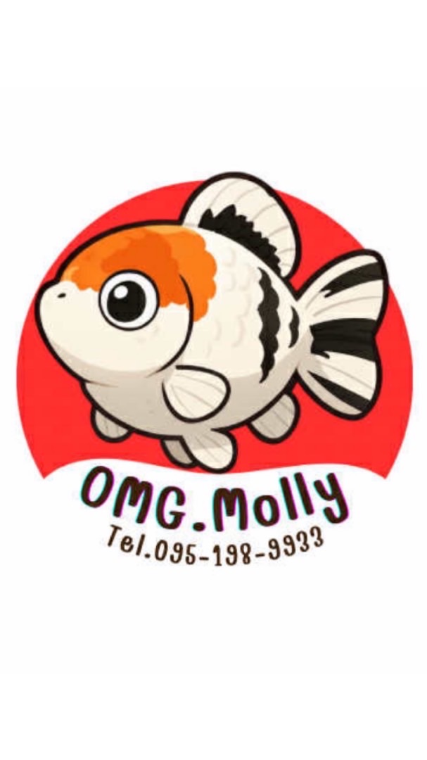 OMG‼️ Molly ปลาบอลลูนเกรดนำเข้า