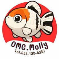 OMG‼️ Molly ปลาบอลลูนเกรดนำเข้า