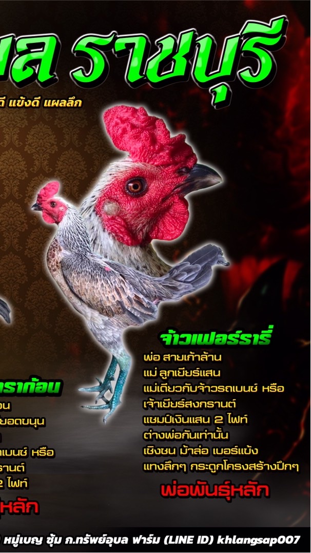 🐲ก.ทรัพย์อุบล บางป่า๒๓🐲
