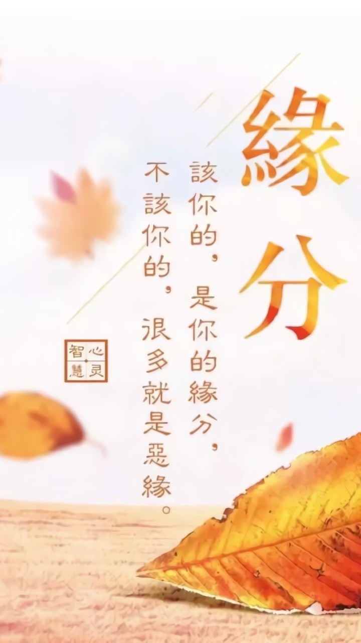 有緣說金融