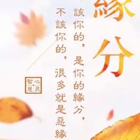 有緣說金融