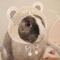 N日本代購（5/9-5/15北海道）