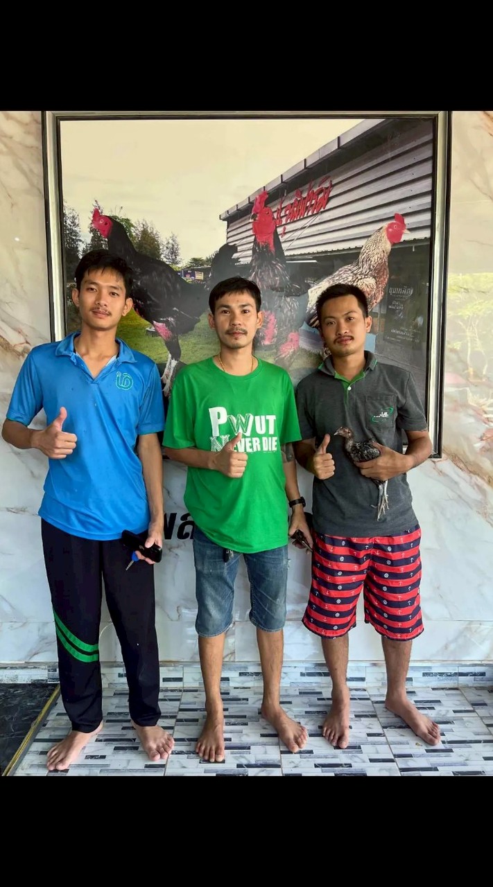 ซุ้ม ศิลาพฤกษ์ ฟาร์ม