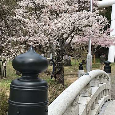 ミルクティーとキャラメル珈琲さんが投稿した見祢山神社のお店土津神社/ハニツジンジャの写真