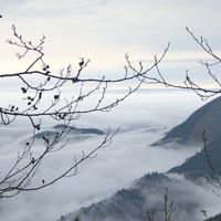 70美丁丁