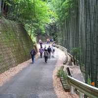 瀬名中央自治会 体育