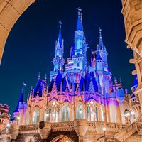 ディズニー同行者募集