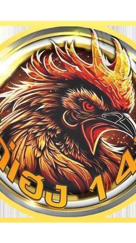 ไก่เฮง147