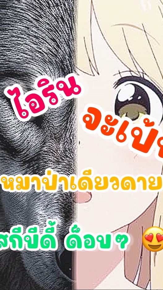 ૮꒰ 🎄🍩😰ไอรินจะแปลงร่างเป้นหมาป่าเดียวดาย 💝🤏🏻🐬꒱ა