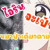 ૮꒰ 🎄🍩😰ไอรินจะแปลงร่างเป้นหมาป่าเดียวดาย 💝🤏🏻🐬꒱ა