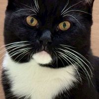 測試群組
