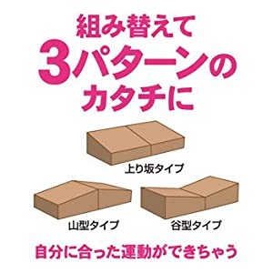 踏み台昇降で有酸素運動 軽くて丈夫なダンボール製 毎日動くん台