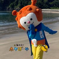 (宮城県北)(岩手県南)シール情報共有☆