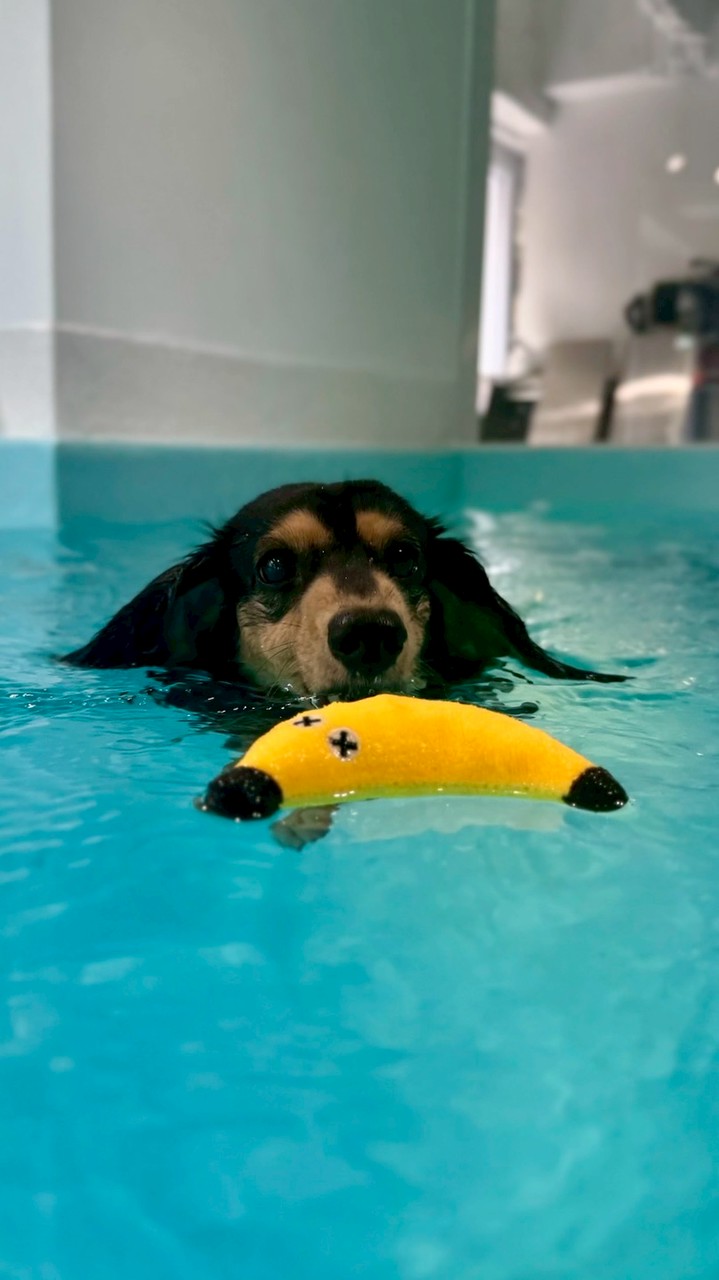 羅娜寵兒選物店🐶