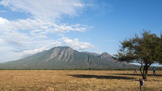 Menelusuri Pantai Bama Di Taman Nasional Baluran