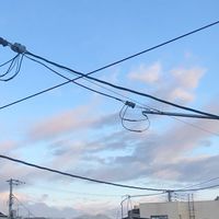2000年生まれの友達の会