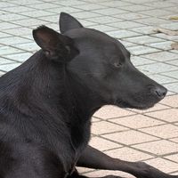 彰師大  國文系！