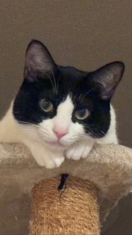 リア充僕滅界隈！