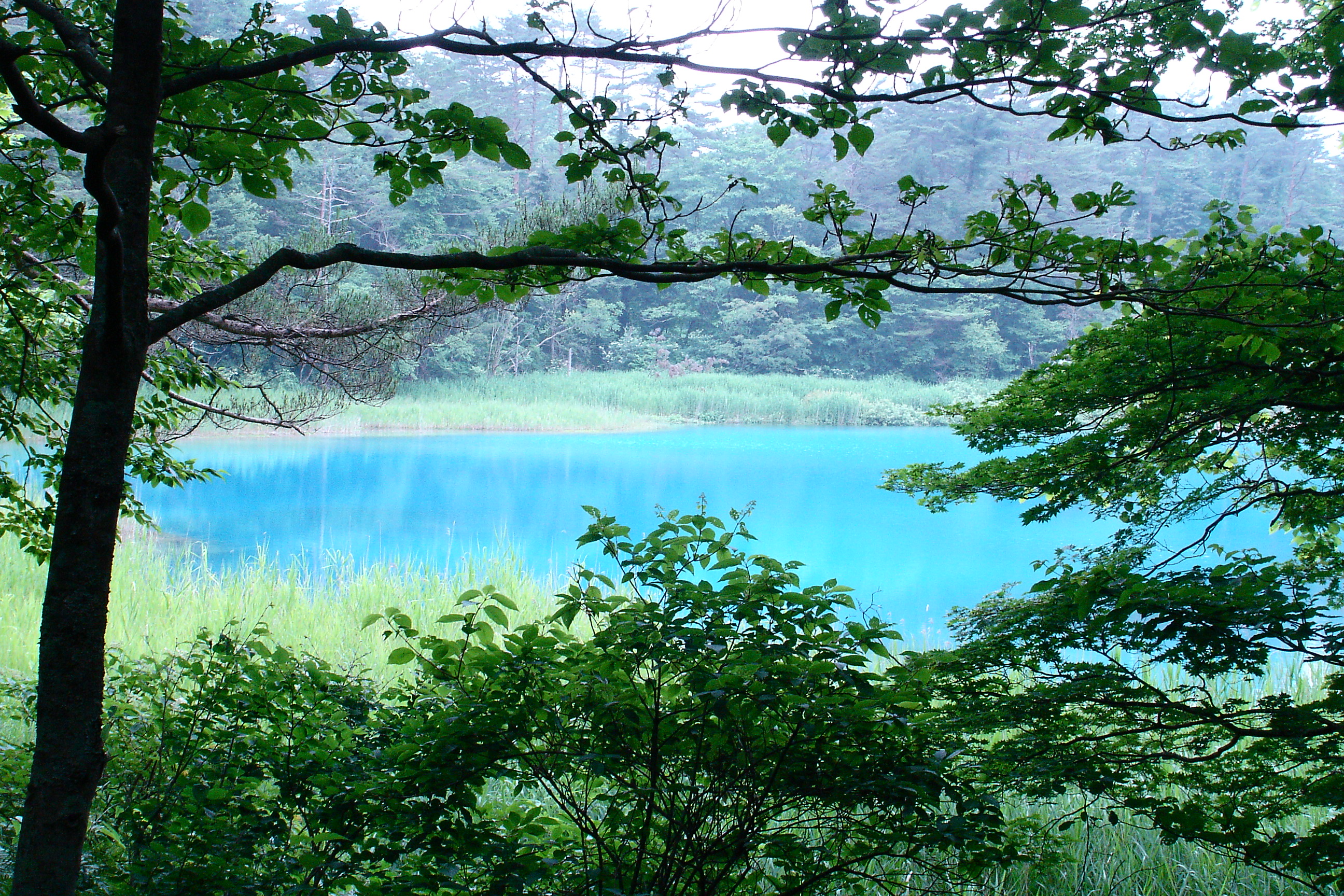 グランデコリゾート Line Official Account