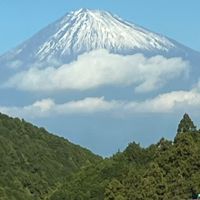 ナリセン魔王と愉快な仲間たち