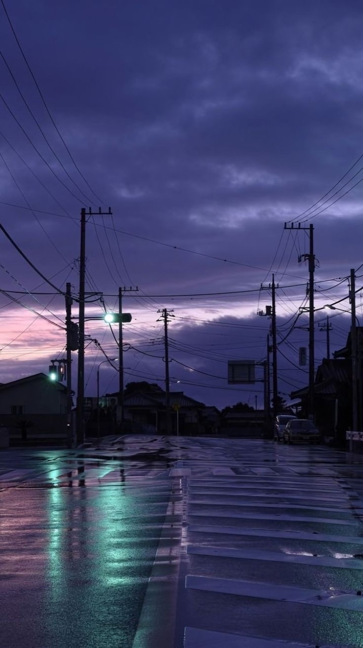 夜街町一丁目➤月桂樹本丸