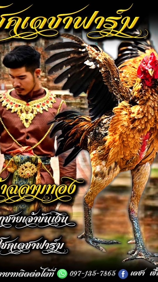 เฮียตั้ม.โชคเดชากลุ่ม 1)