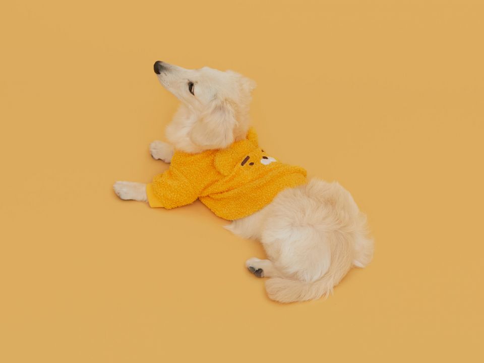 圖片來源：KAKAO FRIENDS.KR