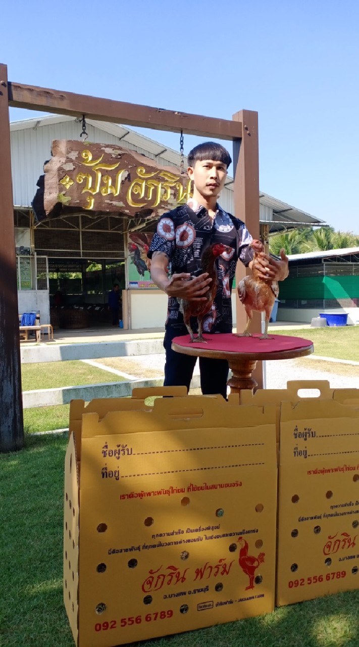ซุ้มภูริชญาฟาร์มไก่ชน