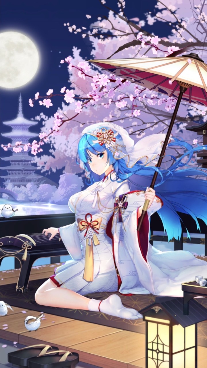 傲月卿風