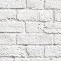 《学生限定》┊︎雑談┊︎ライト┊︎相談┊︎歌枠┊︎推し活┊︎