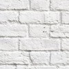 《学生限定》┊︎雑談┊︎ライト┊︎相談┊︎歌枠┊︎推し活┊︎