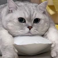ร้าน 4 cats cafe & bake