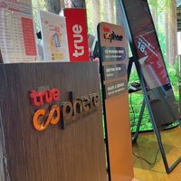 True Sphere iconsiam