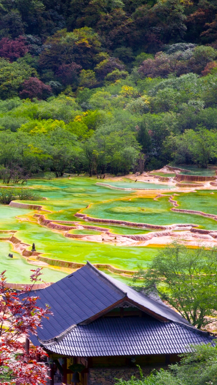 友明旅遊銷售社群