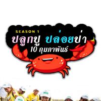 ปล่อยปู ปลูกป่า