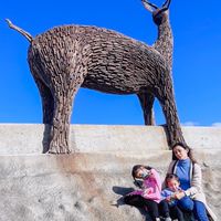 🌟雙寶媽珮崨的親子生活館