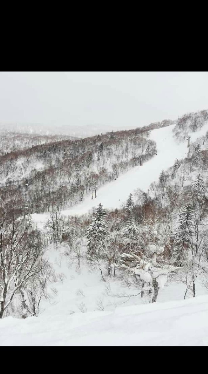 新*北海道スノボ