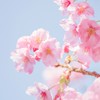 🇯🇵日本媽媽友🇹🇼
