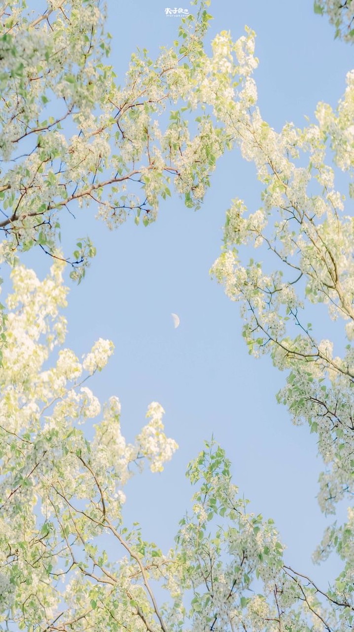 小喬的寵老客群組